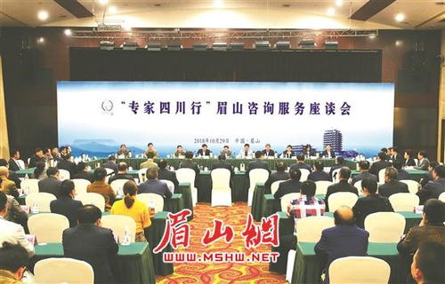 專家四川行 眉山咨詢服務座談會成功舉行，共繪發展新藍圖